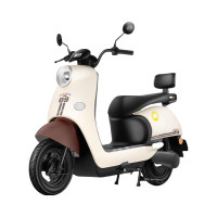 国家补贴：新日 丽曼电动摩托车 60V20AH铅酸电池 76km长续航 1200W大动力