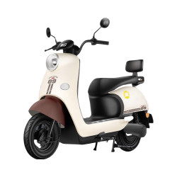 新日 丽曼5.0 电动摩托车 复古 通勤代步 棕色 72V