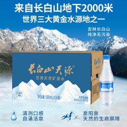 长白山天源 长白山饮用天然弱碱性矿泉水 整箱装 500ml*24瓶*2箱