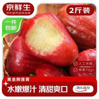 值友专享：京鲜生 【产地直供】海南树上熟黑金刚莲雾！脆嫩如梨，水润清甜，夏天的快乐它承包！净重2斤装