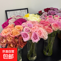 京喜 鲜花云南基地直发花束卉玫瑰百家用插花昆明 随机单头玫瑰单色5只