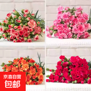 今日必买：京喜 妇女节康乃馨10枝随机色鲜花