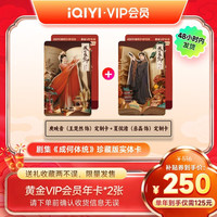爱奇艺 VIP黄金会员2年卡 珍藏版实体卡*2 核125元/年