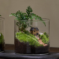 移动端、京东百亿补贴：八芽 趣味鲜活苔藓微型景观创意室内桌面生态绿植盆栽盆景懒人好养植物 山野人家 带玻璃杯