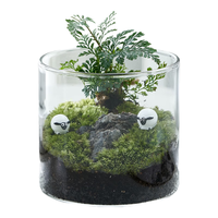  八芽 创意 苔藓微型景观 玻璃杯 山野人家