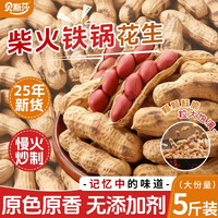 贝斯莎 铁锅花生原味红皮花生带壳新货柴火炒花生瓜子炒货零食批发5斤装