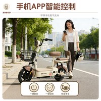  ZUB/五星钻豹 石墨烯电池 电动自行车