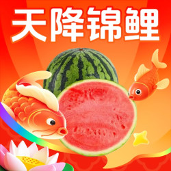 京鲜生 无籽麒麟大西瓜 1粒装 7-9斤