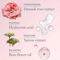 fresh/馥蕾诗 玫瑰保湿乳液
