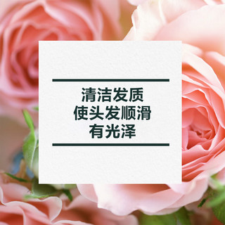 植感哲学 玫瑰洗发水 865ml