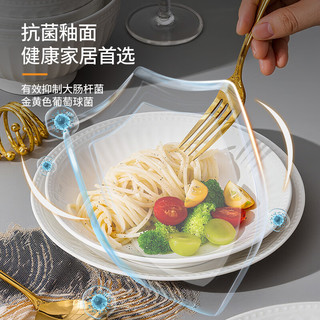  ARST/雅誠德 高温烧制抗菌釉面 碗盘套装