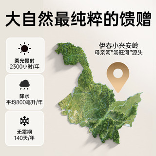  飒拉 100% 纯天然 NFC 原液 白桦树汁  330ml*12瓶*5箱 箱装