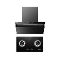 樱雪 251C2 Max+Q2519 双灶烟灶套装 24m³+5.0KW