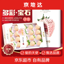 京地达 山东淡雪奶油草莓 250g/盒*2