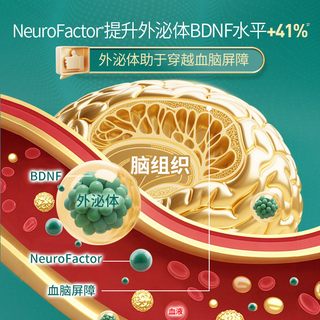  Neuriva 辅助记忆力 脑动力补充剂
