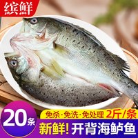 缤鲜 中国大陆 海鲈鱼 400g-500g 冷冻