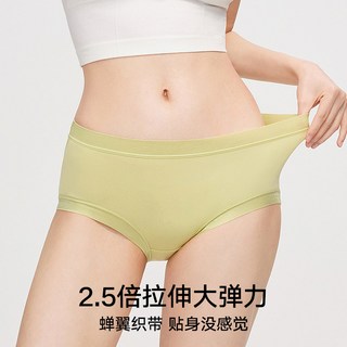  松山棉店 5A抑菌 女士内裤 莫代尔组合十二（兰花紫+浅肤+航线蓝） M