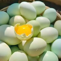  壹号土 可生食 土鸡蛋