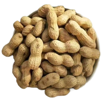  贝斯莎 柴火炒 红皮花生