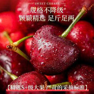  顾一 新鲜 美早大樱桃
