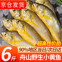 往牧 舟山野生小黄鱼 深海捕捞鲜活冷冻 海鲜黄鱼烧烤夜宵食材海捕 约18条/斤