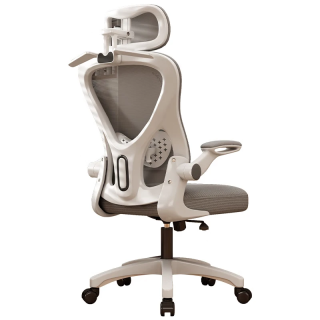 今日必买：艺菲 人体工学椅 电脑椅 S型靠背 可调腰靠 四级防爆杆+逍遥后仰+乳胶坐垫 灰白