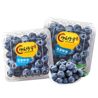好媛好宇 云南蓝莓 4盒精选果12mm+单盒100-125g