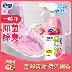 爱恩倍 香氛除臭泡沫清洗液，快速除尿渍洁厕液