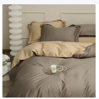 AIDLI 100支全棉贡缎新疆长绒棉双拼纯棉四件套 200*230cm