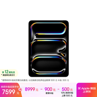Apple iPad Pro 2025款 11.0英寸 平板电脑（Apple M5、256GB、WLAN版、深空黑色）