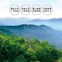  八马 蜜兰香 乌龙茶