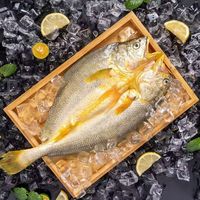 新鲜开背大黄鱼300g*1条