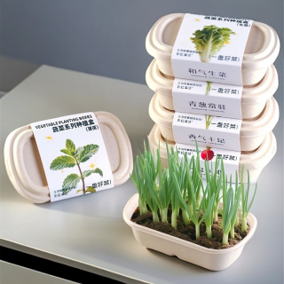 小花农 儿童蔬菜花果植物生长观察实验套装玩具