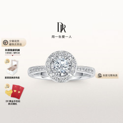 Darry Ring PARIS系列 简奢款求婚钻戒 WJ0331