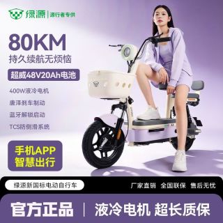 绿源 x源行者 新国标电动自行车 48V20A 铅酸长续航电瓶车