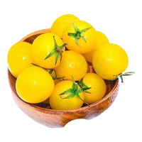  大菜乡 超甜好吃 番茄苗+肥