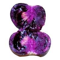  大菜乡 四季盆栽 黑番茄苗+肥料