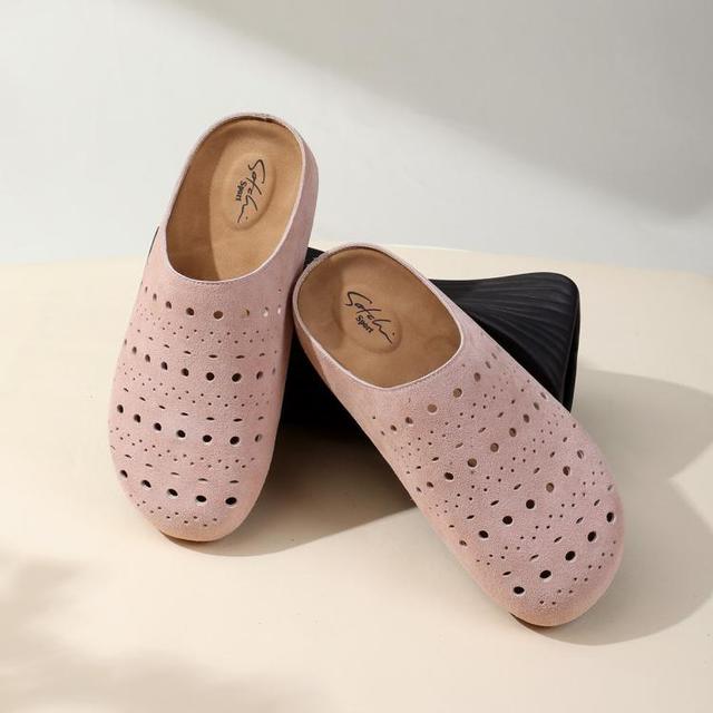 沙驰 SANC D55 24.5英寸 Fast IPS 显示器（2K、320Hz、1ms）