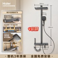 海尔 T10 按摩背喷淋浴器花洒套装 精铜水路 枪灰