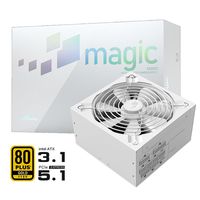  Great Wall/长城 全模组 台式机电脑电源