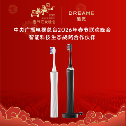 追觅 NB01 无按键压感清洁 黑色 电动牙刷