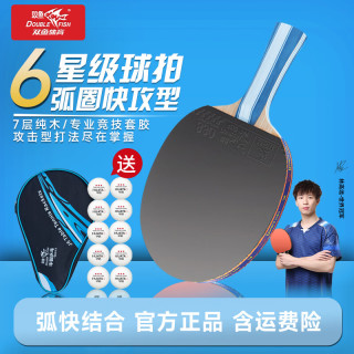 双鱼 六星 弧圈快攻横单拍 乒乓球拍 含包+10球