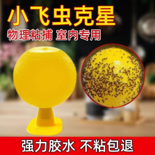 果蝇诱捕器 小飞虫灭杀神器 室内去除蚊虫克星 厨房蠓虫粘虫球诱苍蝇