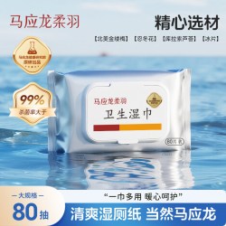 马应龙 医药 卫生湿巾 80片*1包
