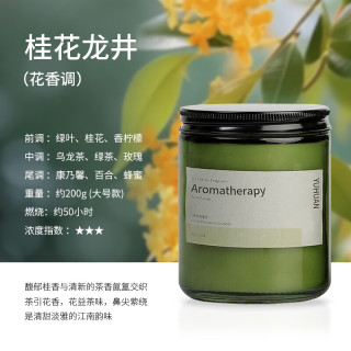 瓶香室内熏香大号