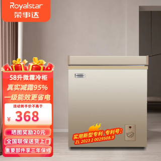 荣事达 微霜家用冰柜小柜迷你省电小冰箱 一级能效  金色 58升