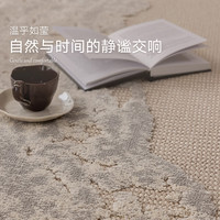 DAJIANG/大江 免洗易打理 客厅地毯 渡棱 300x400cm