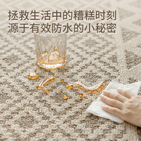  DAJIANG/大江 免洗易打理 客厅地毯 伽格 140x200cm