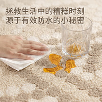 DAJIANG/大江 免洗易打理 客厅地毯 赛拉 230x340cm