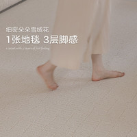 DAJIANG/大江 免洗易打理 客厅地毯 云径 200x300cm